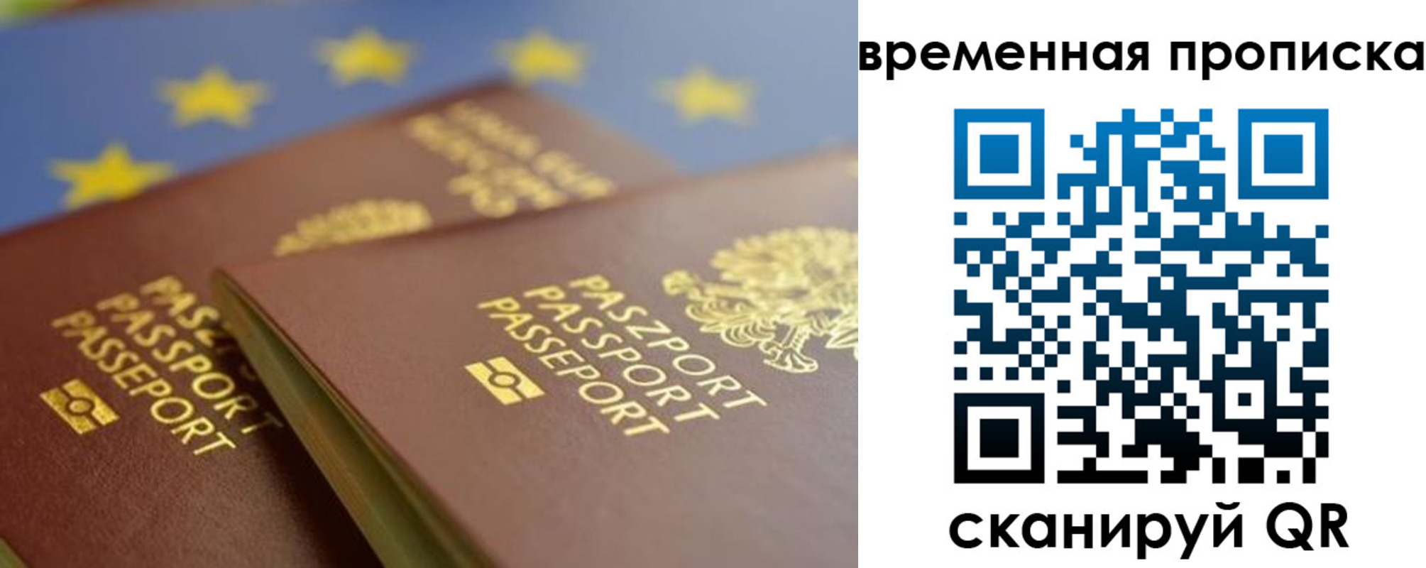 прописка законно в Мыски